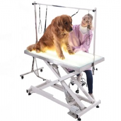 YDV-501 Electric pet grooming table with led light