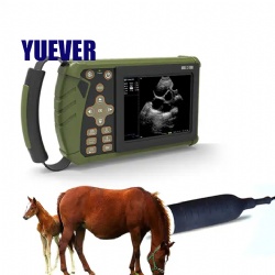 YDV-U1 Veterinary B/W Ultrasound System