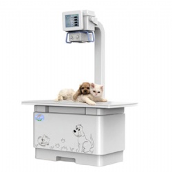 YDV-VET1100 DR System