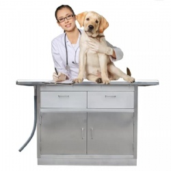 YDV-E13 pet clinic